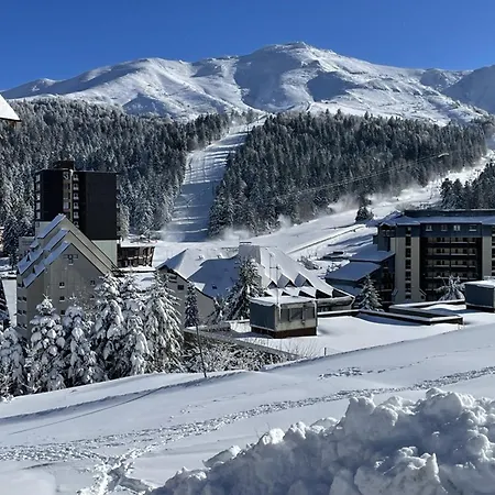 Appartement Cosy Avec Terrasse Ensoleillee Laveissière